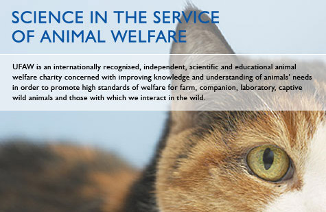 Science in the service of Animal Welfare