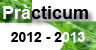 Prcticum 2012-2013