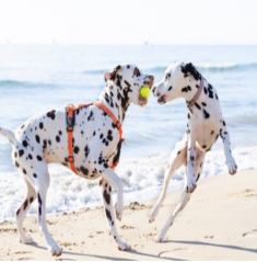 Exposició fotogràfica 