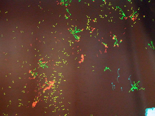 Una visitante delante de la instalaci&oacute;n Digital Babylon.&copy;Joan Soler-Adillon