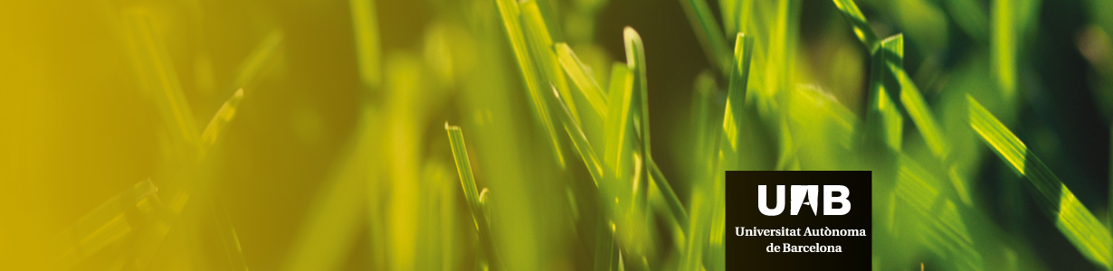 Matrcula de graus 2016-2017