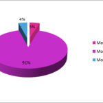 Llibres electrònics a la UAB /Pujol, Rosa