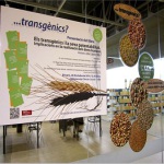 Exposicions 2014 (Juliol-Desembre) a les biblioteques de la UAB / Guerrero, Rosa