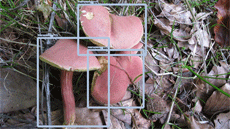 Estudiants de l'Escola d'Enginyeria, finalistes al concurs Innovate FPGA