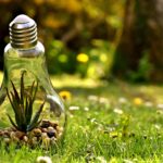 Aprovada la Política de preservació del DDD