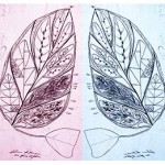 Projectes de digitalització en història de la ciència / Allué, Vicenç