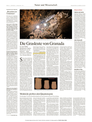 Pàgina del Frankfurter Allgemeinen