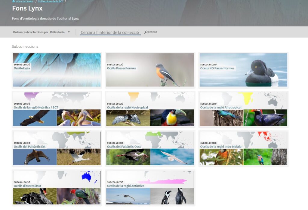 Exemples del que es pot trobar al Fons lynx
