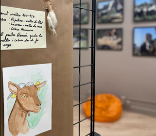 Primer pla d’un panel de l’exposició “Viu la Ruralitat! Viu la UAB!”, amb un dibuix a mà d’una cabra, un escrit manuscrit i un floc de llana. Al fons, en segon pla, fotografies de l’exposició