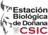 Estación Biológica de Doñana - CSIC