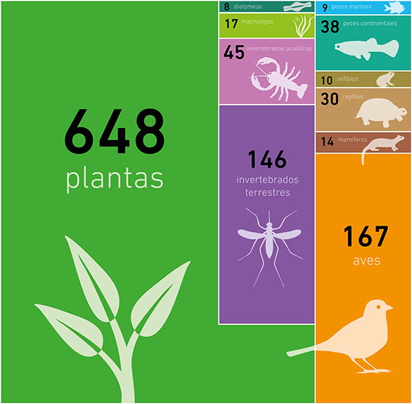 Las especies exóticas de Cataluña según el grupo de organismos al que pertenecen. Fuente: EXOCAT