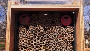 Caja nido de abejas solitarias instalada en un campo de frutales de Lleida. Foto: CREAF.