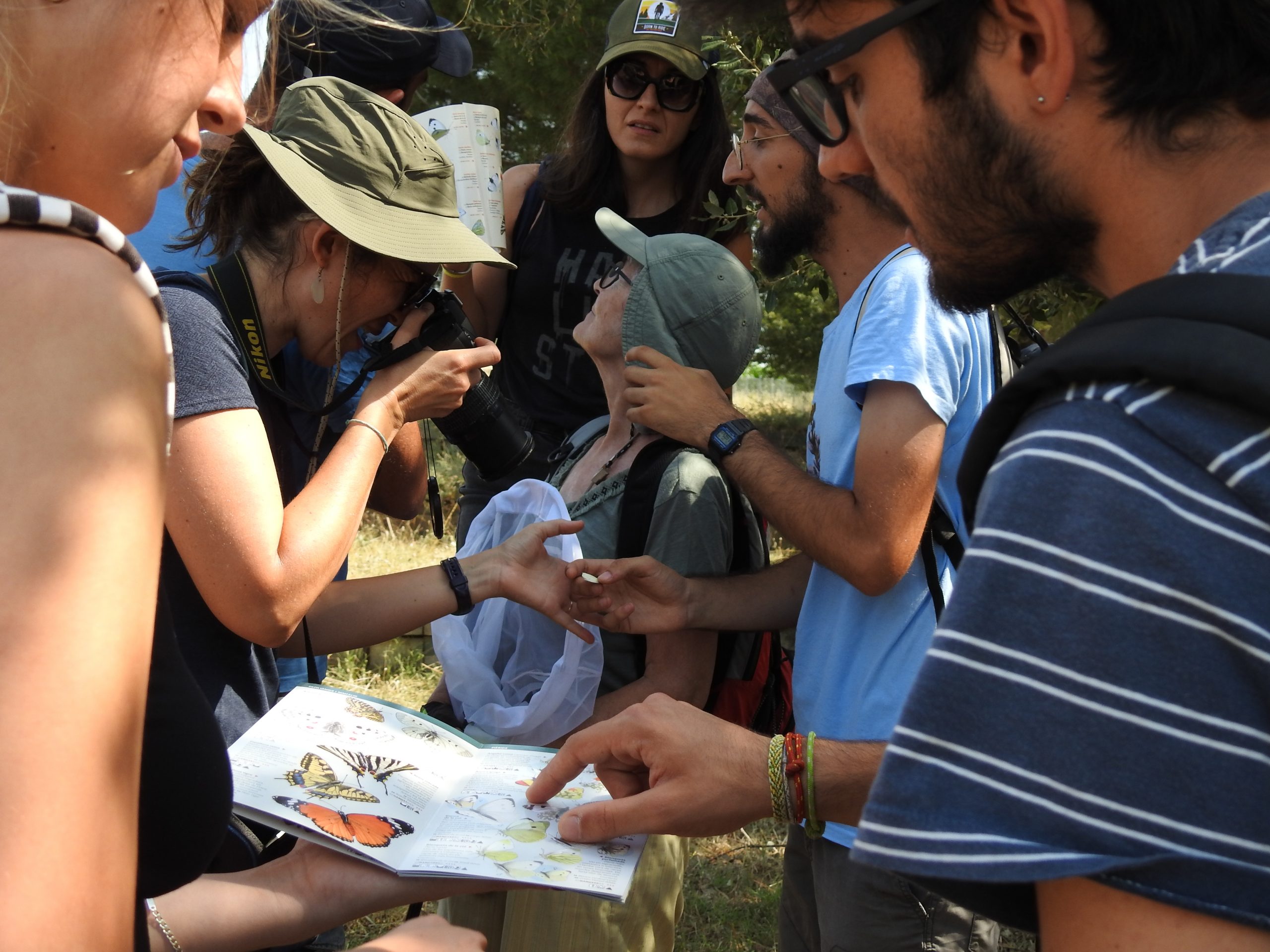 Voluntariado del proyecto de ciencia ciudadana Observatorio metropolitano de mariposas mBMS en un curso de formación sobre mariposas. Foto: Pau Guzmán.