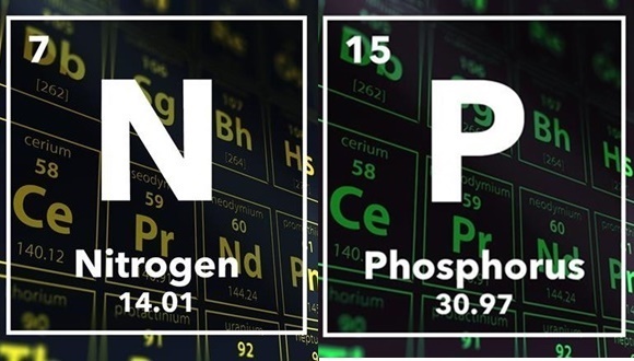 La acción humana está alterando el equilibrio del nitrógeno y el fósforo, dos elementos esenciales para la vida en la tierra. Imagen: chemistryworld.com