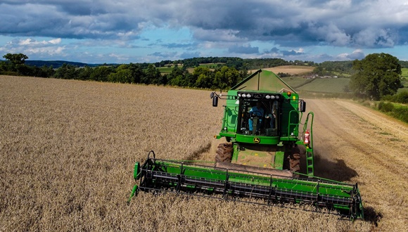El exceso de nitrógeno para fertilizar campos de trigo transfiere al grano y la harina más gliadina, una proteína que interviene en la formación del gluten. Imagen: Dominio público.