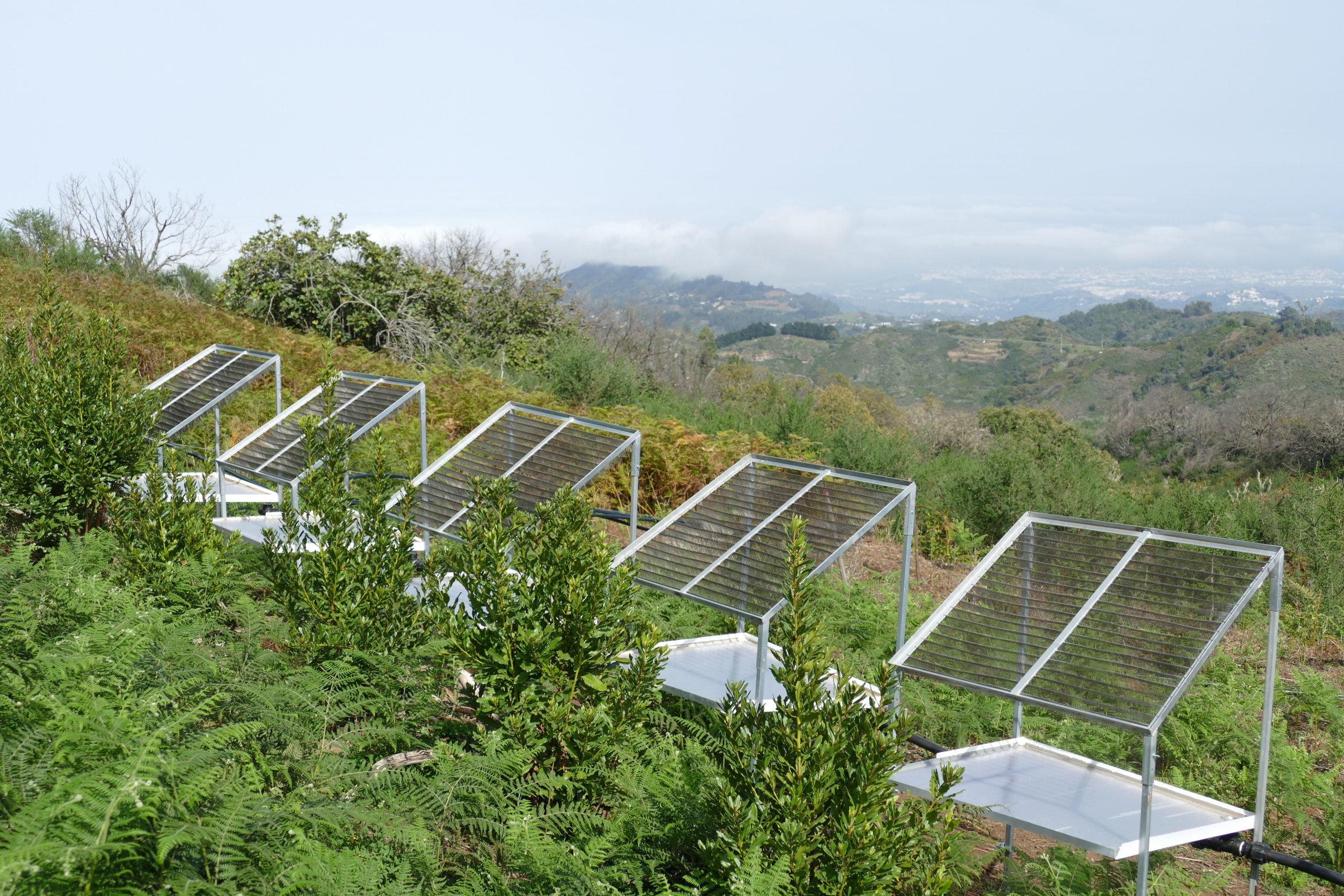 Instalación del sistema de recolección del aigua de la niebla a las Islas Canarias. Imagen: Life Nieblas