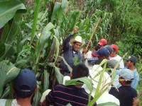 Foto: Gonzalo Gamboa