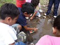 Projecte Finan&ccedil;at Fons Solidaritat UAB