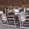 Projecte M�xic