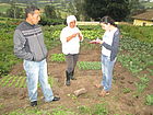 La Voluntaria de la ONU Cindy López (derecha) aplicando fichas de monitoreo a los pequeños productores que entregan su producción de hortalizas al punto de venta. Estas hortalizas luego serán entregadas a las beneficiarias del proyecto CLOSAN. (Inés López/PMA, 2014)