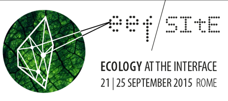 ecology at the interface