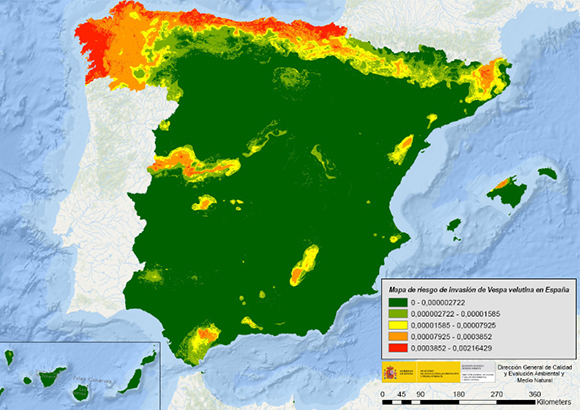 Mapa del riesgo de invasión de la avispa asiática en España.