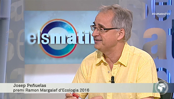 L'ecòleg Josep Peñuelas durant l'entrevista a 'Els Matins' de TV3.