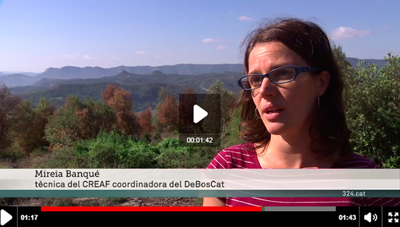 L'ecòloga forestal del CREAF, Mireia Banqué, a TV3