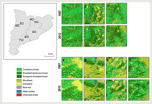 Font: Classificació estadística d’imatges Landsat TM i ETM+. Autor: Juan José Vidal Macua. GRUMETS-UAB-CREAF