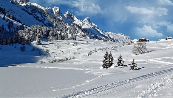 Les nevades a cotes altes, com per exemple en boscos del Pirineu, no són tan problemàtiques. Autor/a: Pixabay (CC0 - Public Domain).