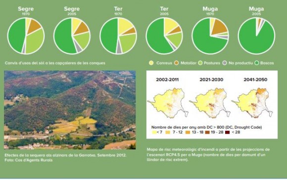 Resum de les projeccions que el MEDACC ha dut a terme a les tres conques sobre els seus boscos