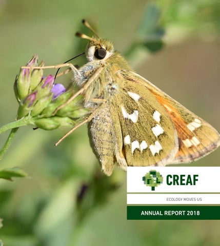 "CREAF Annual Report 2018" publication cover image