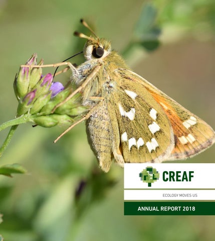 "Memòria CREAF 2018" publication cover image