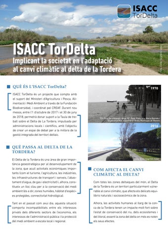 "ISACC TorDelta CAT" publication cover image