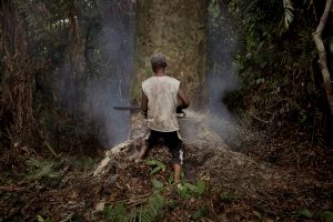 Desforestació en un bosc tropical a la República Democràtica del Congo. Autor: Pau Coll, RUIDO Photo.