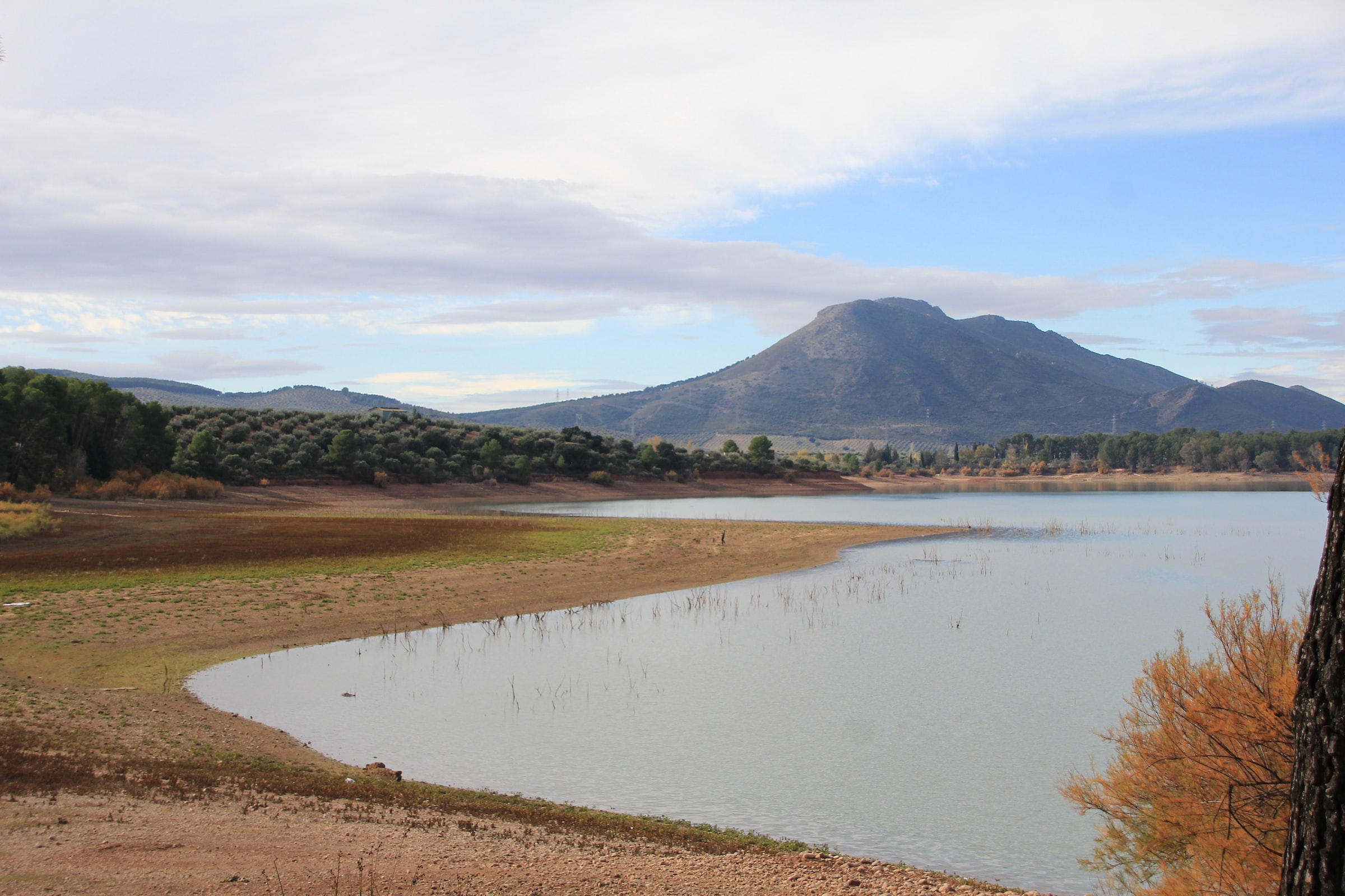 Efectes de la sequera i la falta d'aigua. Albolote, Granada. Font: Pilar Flores.