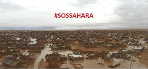 Las lluvias torrenciales en los campos saharauis dejan sin hogar a 25.000 personas refugiadas