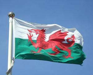 Bandera de Gal·les. Foto: Calum Hutchinson.