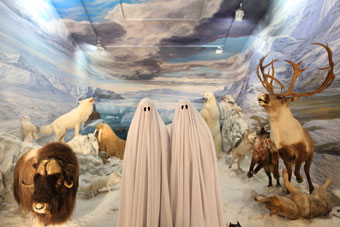 Panorama - Finisterrae