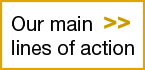 Our main lines of action