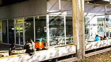 Cafeteria de Ci�ncies Socials