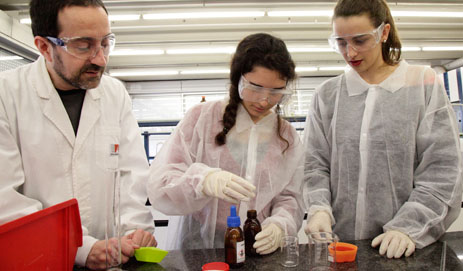 Jornades de Química Interactiva