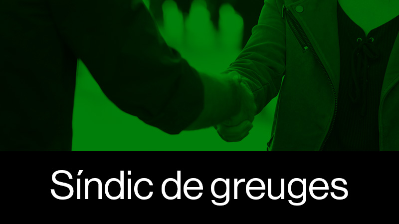 Síndic de Greuges