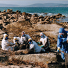 Voluntaris recollint el chapapote a les costes de Galcia fa 10 anys