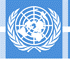logo voluntariat nacions unides