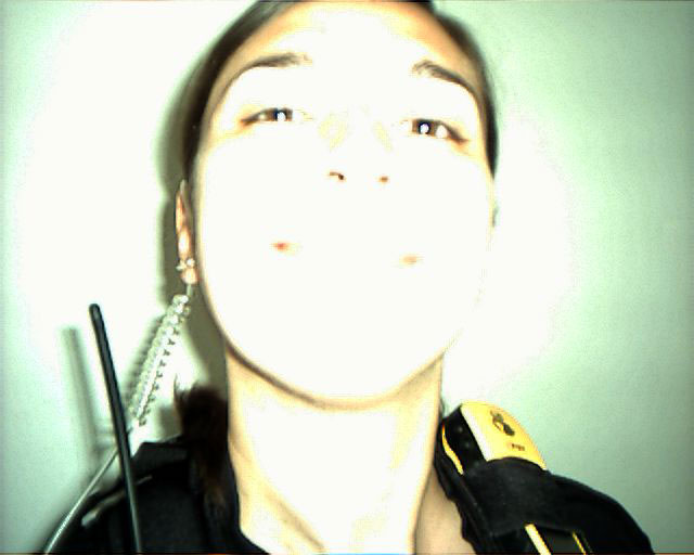 Performer Sheila Ghelani