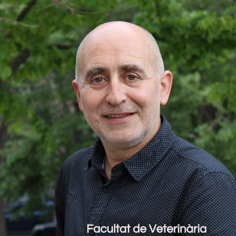 JOAQUIM SEGALÉS, Catedràtic departament Sanitat i Anatomia Animals, patòleg veterinari, Col·legi Europeu de Sanitat i Producció Porcina, expert coronavirus zoonòtics
