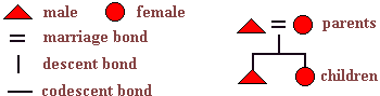 kinship.gif (1405 bytes)