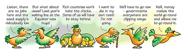 birds1.gif (37310 bytes)