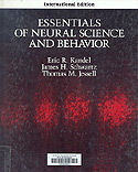 Essentials of neural science and behavior